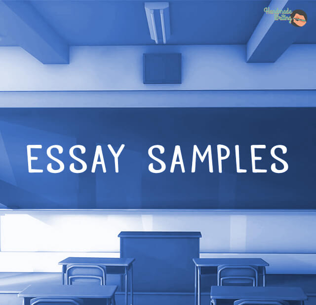 Essay Samples