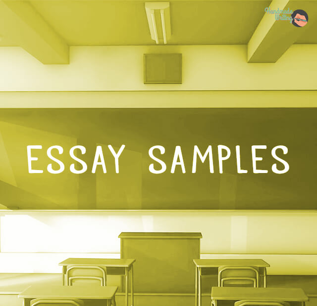 essays example