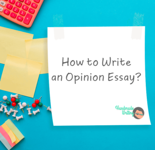 can essay have opinions
