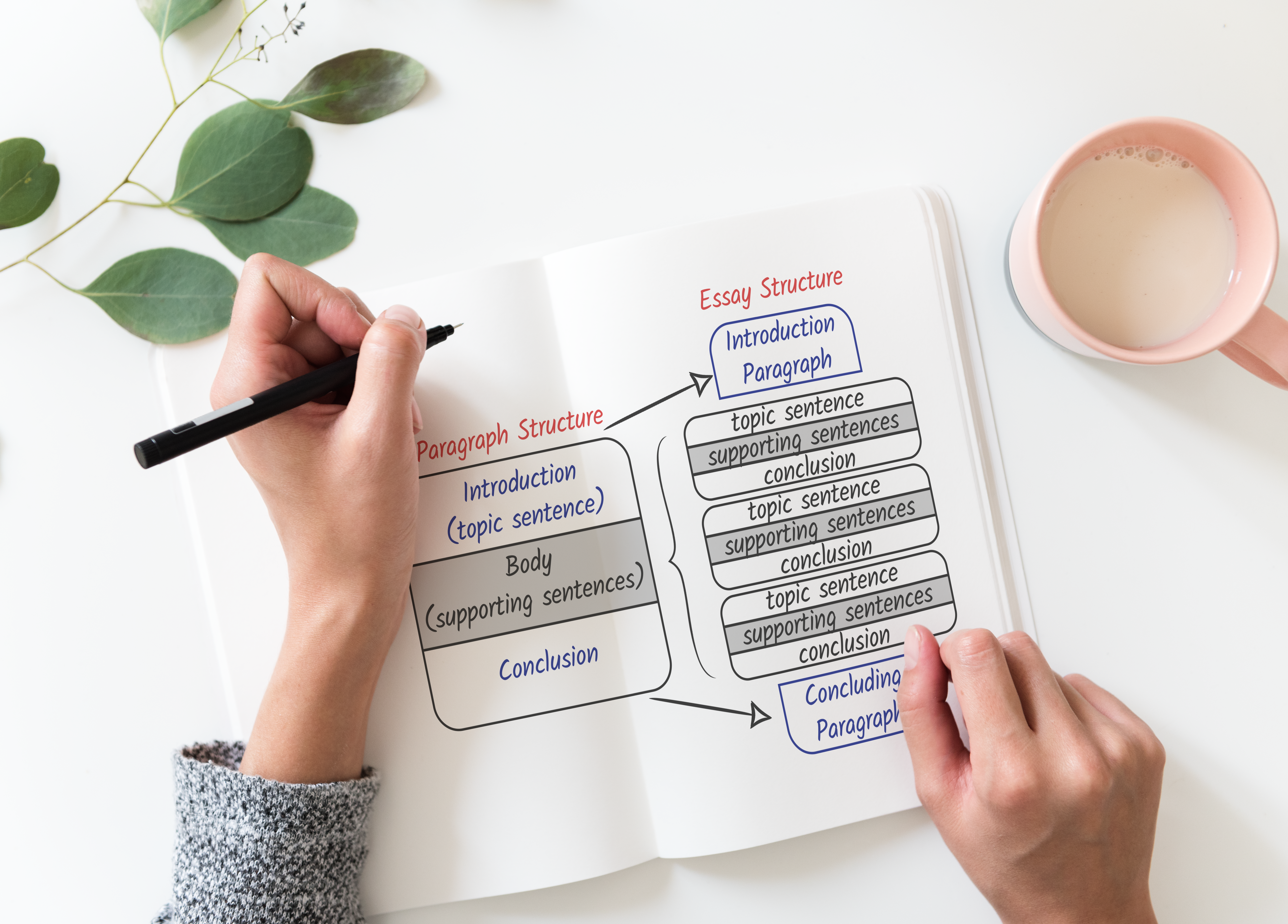 Essay outline structure