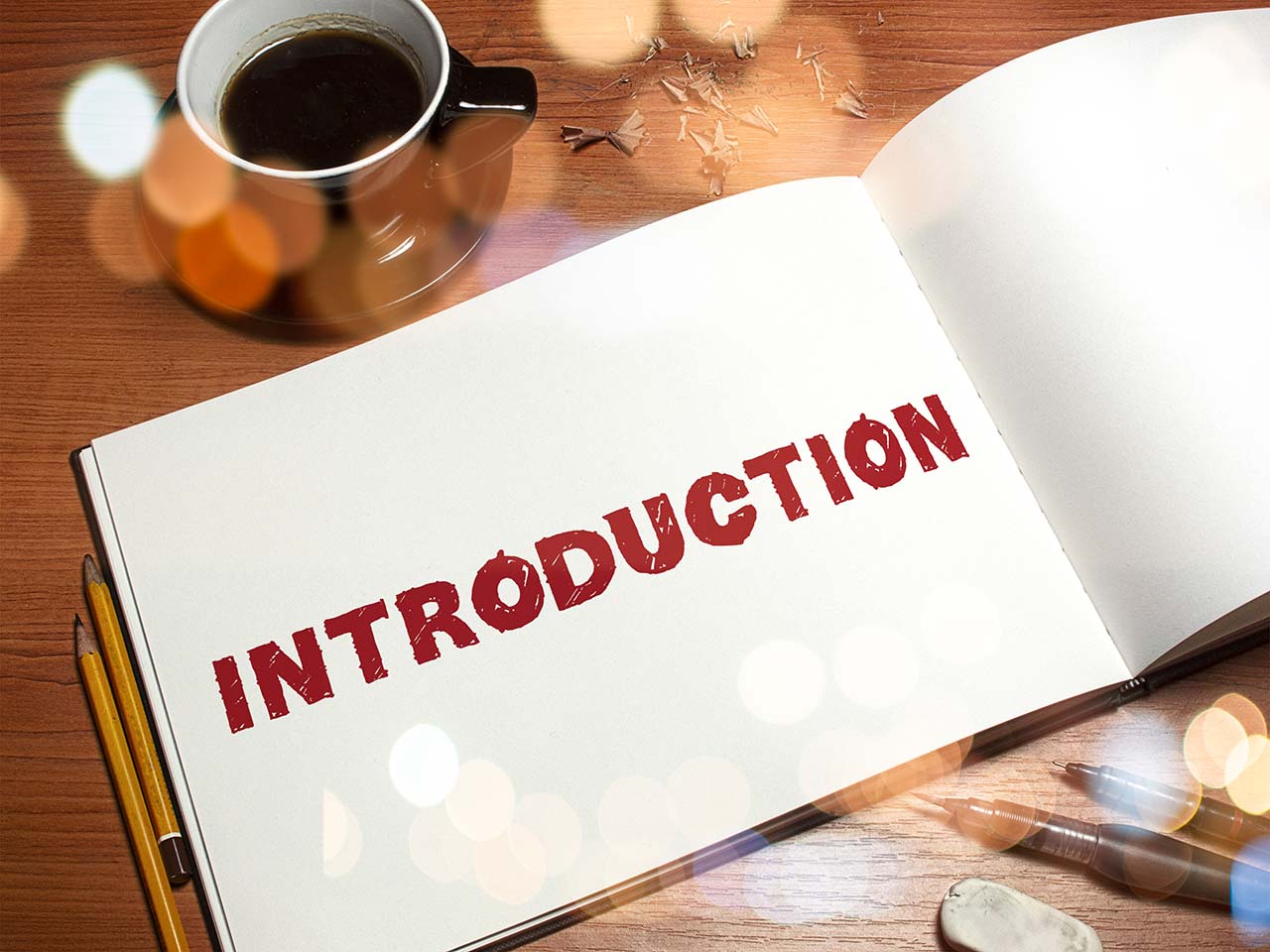 what is introduction in thesis